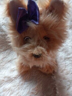 Yorke stuffed animal